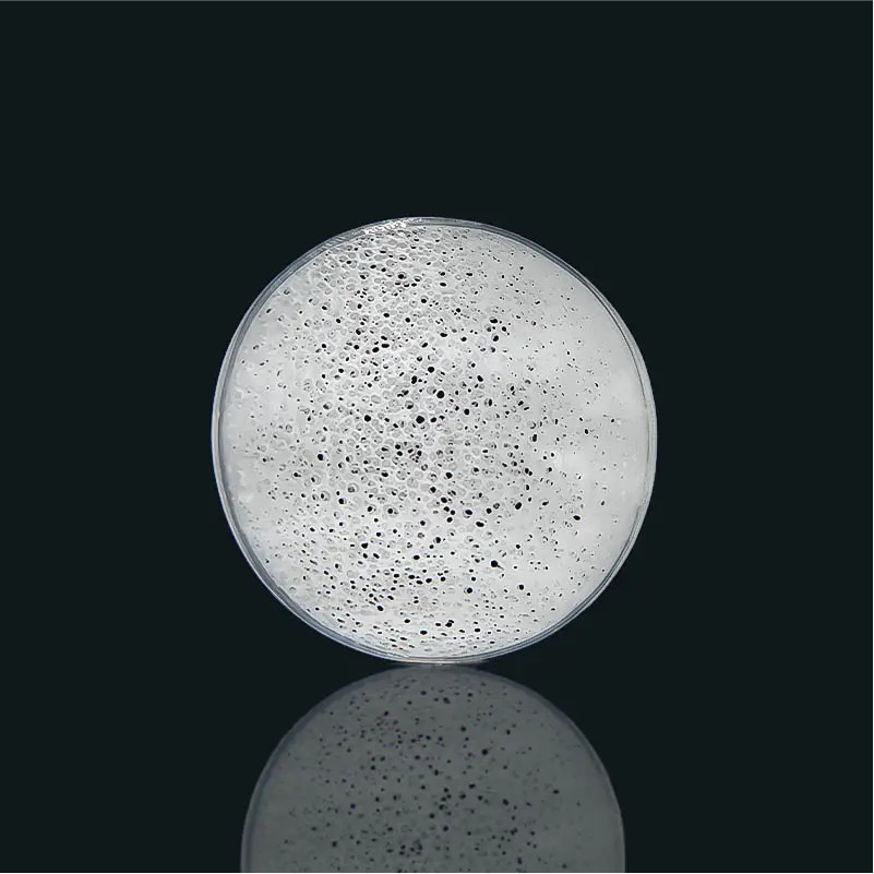 DC Biochip - Giá thể MBBR cho Hệ thống Xử lý Nước thải