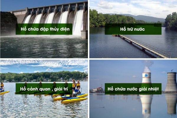 Ứng dụng công nghệ diệt tảo bằng sóng siêu âm